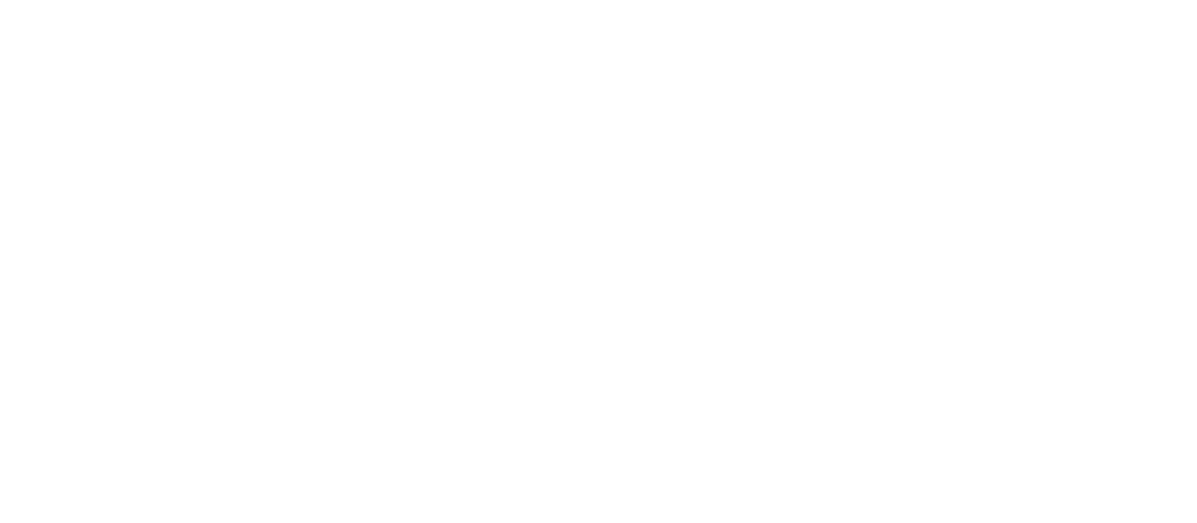 The Sheth Foundation